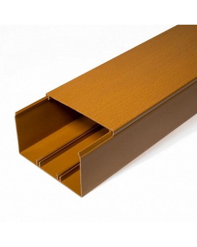 Кабель-канал бук 2-й замок 100х60 (16м/уп) Промрукав (PR.025447) в Белгороде Огнестойкие кабельные линии Pintop.ru