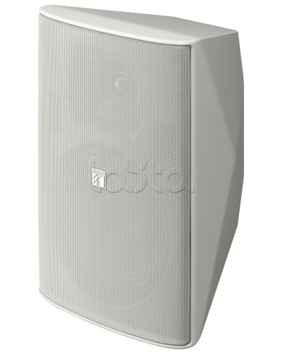 Громкоговоритель 2 полосный TOA F-2000 WTWP в Белгороде Системы оповещения и трансляции TOA Pintop.ru