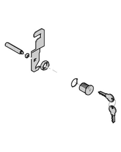 Замок дверцы G4040 G4041 Came 119RIG176 в Белгороде Запчасти для шлагбаумов и автоматики Pintop.ru