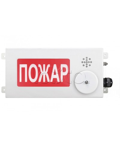 Табло светозвуковое взрывозащищенное Спектрон ТСЗВ-Exi-М-Прометей-МИНИ 12-36В в Белгороде Оповещатели Ex Pintop.ru