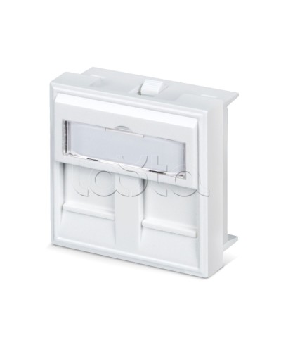 Вставка 45x45 (аналог Mosaic) для 2 модулей формата Keystone Jack Cabeus FP-45-2M в Белгороде Модули Keystone Pintop.ru