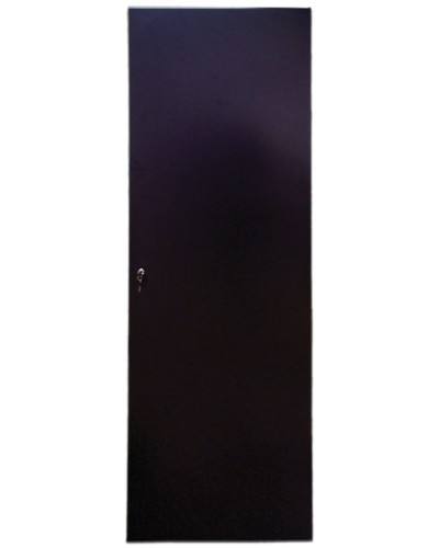 Дверь задняя для шкафов серии Business металл, 47U, ширина 600 мм TWT TWT-CBB-DRM1-47U-6 в Белгороде Аксессуары для стоек и шкафов Pintop.ru