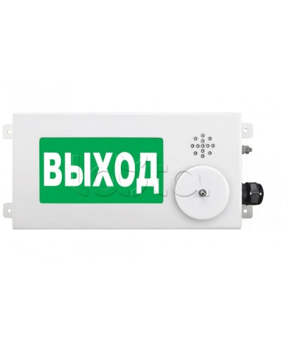 Табло световое взрывозащищенное Спектрон ТСВ-Exi-М-Прометей-МИНИ 12-36В в Белгороде Оповещатели Ex Pintop.ru