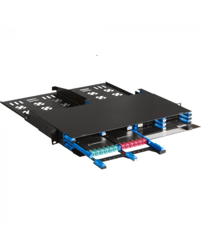 Бокс 19 на 12 компактных кассет MPO, 1U, черный LANMASTER (LAN-FOBM-12MCC-1U) в Белгороде Патч-корды оптические Pintop.ru