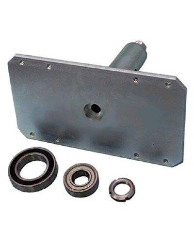 Электромагнит с механизмом разблокировки Came 119RIH022 в Белгороде Запчасти для шлагбаумов и автоматики Pintop.ru