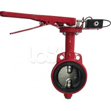 Затвор дисковый с электроприводом Спецавтоматика Зт 200/1,6(Э220М)-Ф.УЗ.1-"АН-200"