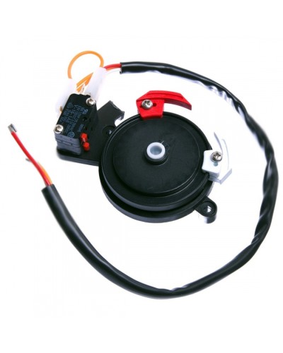 Концевые микровыключатели в сборе BX-243 Came 119RIBX041 в Белгороде Запчасти для шлагбаумов и автоматики Pintop.ru