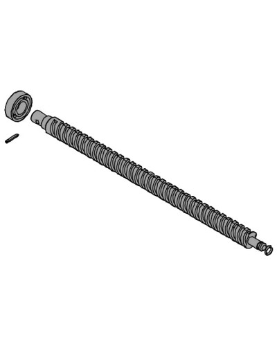 Винт ходовой AX302304, AX3024, АХ402306, AX412306 Came 119RID319 в Белгороде Запчасти для шлагбаумов и автоматики Pintop.ru