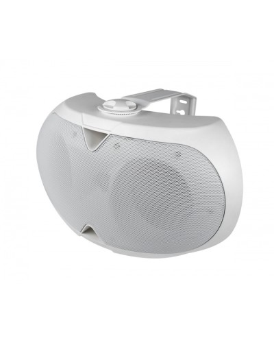 Громкоговоритель настенный 2-х полосный VOLTA ELLIPSE-2440TW в Белгороде Система оповещения и трансляции Volta Pintop.ru