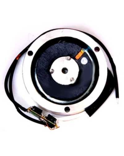 Электромагнит BY1500T Came 119RIY034 в Белгороде Запчасти для шлагбаумов и автоматики Pintop.ru