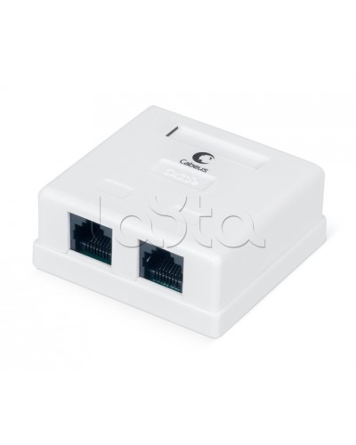 Розетка компьютерная RJ-45, категория 5e, двойная, внешняя, Dual IDC Cabeus WS-8P8C-Cat.5e-2 в Белгороде Розетки компьютерные и телефонные Pintop.ru