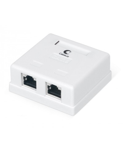 Розетка компьютерная RJ-45(8P8C), категория 6, экранированная, двойная, внешняя, Krone type Cabeus WS-8P8C-Cat.6-SH-2 в Белгороде Розетки компьютерные и телефонные Pintop.ru