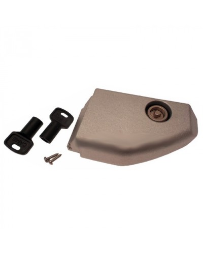 Дверца разблокировки с замком BX Came 119RIBX008 в Белгороде Запчасти для шлагбаумов и автоматики Pintop.ru