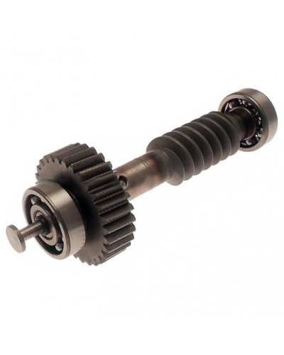 Червяк редуктора FAST в сборе Came 119RID228 в Белгороде Запчасти для шлагбаумов и автоматики Pintop.ru