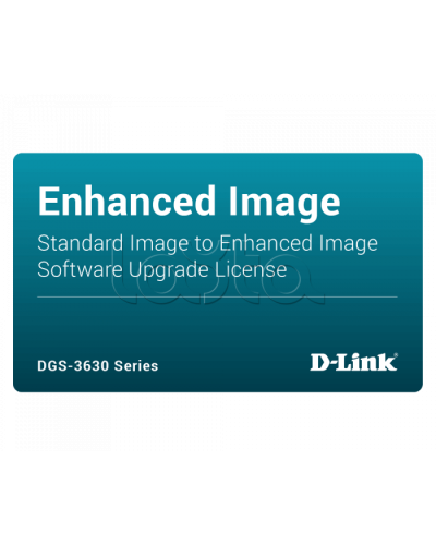 ПО D-Link DGS-3630-28PC-SE-LIC в Белгороде Беспроводное оборудование Pintop.ru