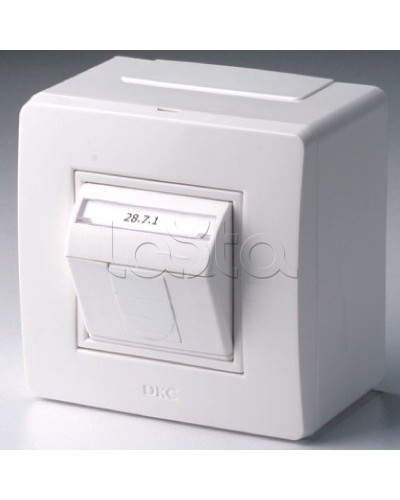 Коробка в сборе с 1 розеткой RJ45, кат.5е (телефон / компьютер), белая DKC 10665 в Белгороде Распределительные коробки Pintop.ru