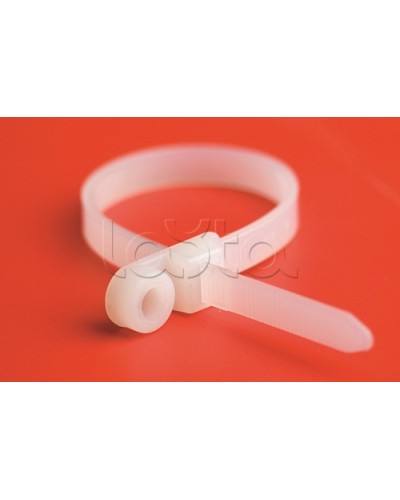 Хомут P6.6 с основанием, белый, 4,8x200 DKC 252205-M в Белгороде Стяжки-хомуты Pintop.ru