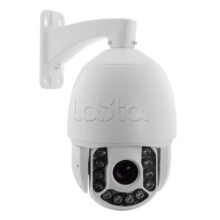 IP-камера видеонаблюдения купольная EverFocus ACE-ATE2033