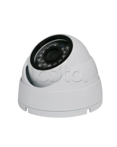 Камера видеонаблюдения купольная EverFocus ACE-IAB20XHD в Белгороде Аналоговые камеры Pintop.ru