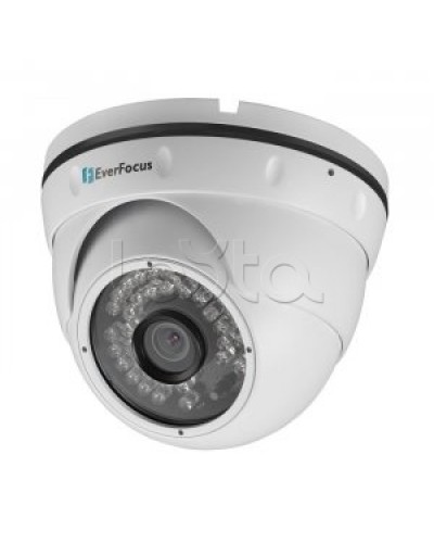 IP-камера видеонаблюдения купольная EverFocus ACE-IAV30 в Белгороде IP-камеры Pintop.ru