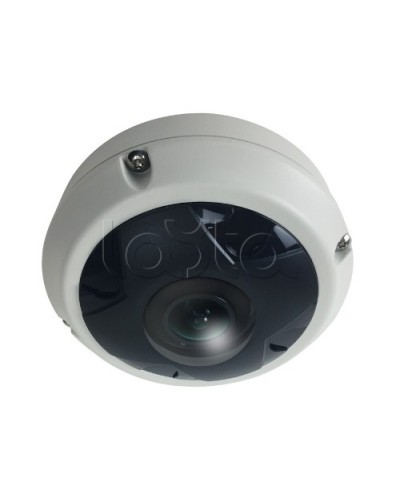 IP-камера видеонаблюдения купольная EverFocus ACE-KU89F в Белгороде IP-камеры Pintop.ru