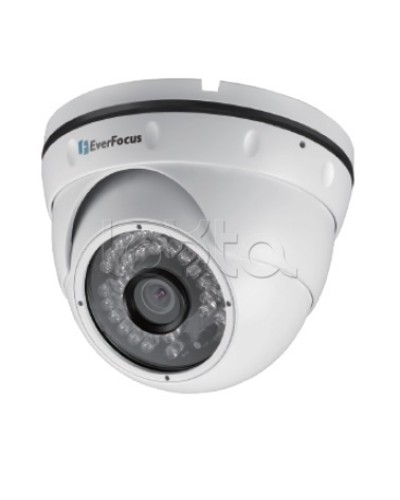 IP-камера видеонаблюдения уличная купольная EverFocus EBN-268 в Белгороде IP-камеры Pintop.ru
