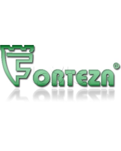 Плата сменная Forteza Плата БГр-4 в Белгороде Устройства защиты операционных процессоров (ОПС) Pintop.ru