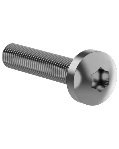 Винт М6х30 IEK (FO-00D-VTORX-M6X30-020) в Белгороде Аксессуары для стоек и шкафов Pintop.ru