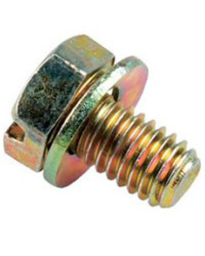 Винт с шайбой М6х10мм TH Legrand 036775 в Белгороде Крепеж Pintop.ru