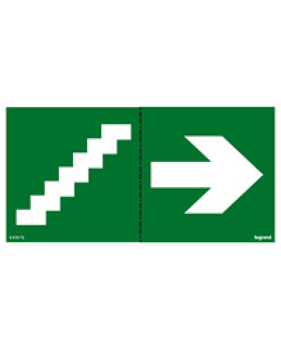 Пиктограмма 100х200 лестница стрелка Legrand 661672 в Белгороде Дополнительное оборудование для ОПС Pintop.ru