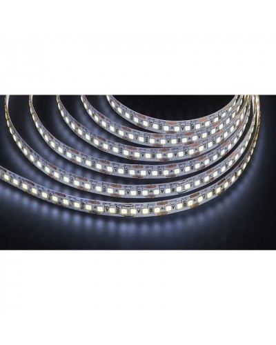 Лента светодиодная Navigator 14 455 NLS-2835CW168-16-IP20-12V в Белгороде Источники света(Лампы) Pintop.ru