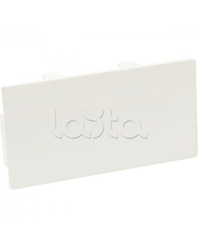 Заглушка торцевая для кабельного канала 100х50 SPL 100002S в Белгороде Аксессуары для кабель-канала Pintop.ru