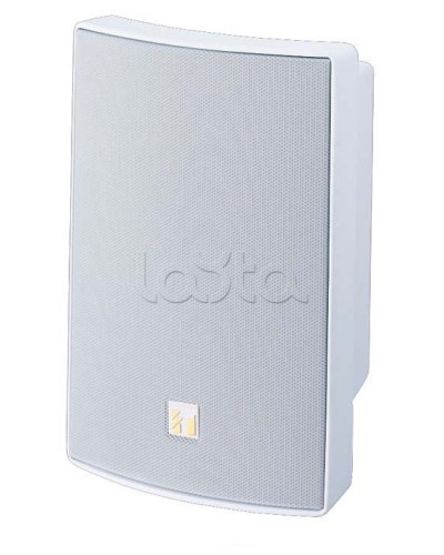 Громкоговоритель универсальный двухполосный TOA BS-1030W в Белгороде Системы оповещения и трансляции TOA Pintop.ru