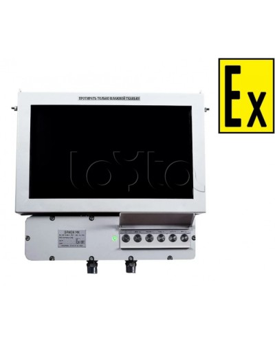 Монитор взрывозащищенный Компания СМД Орион МК М 19-С в Белгороде Дополнительное оборудование (Ex) Pintop.ru