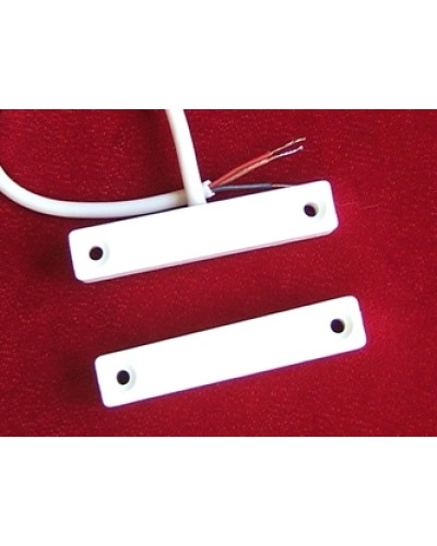 Датчик положения Магнито-Контакт ДП 102-2 в Белгороде Извещатели охранные Pintop.ru