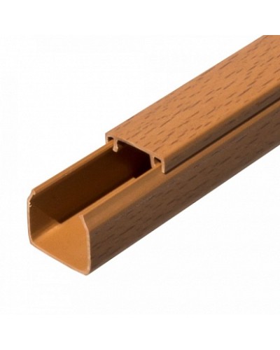 Кабель-канал бук 2-й замок 25х25 (48м/уп) Промрукав (PR.025430) в Белгороде Огнестойкие кабельные линии Pintop.ru