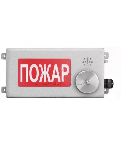 Табло светозвуковое взрывозащищенное Спектрон ТСЗВ-Exm-Н-Прометей-МИНИ 12-36В в Белгороде Оповещатели Ex Pintop.ru