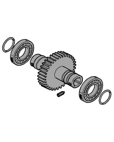 Вал выходной EMEGA Came 119RIE062 в Белгороде Запчасти для шлагбаумов и автоматики Pintop.ru