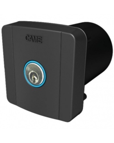 Ключ-выключатель встраиваемый Came 806SL-0020 в Белгороде Запчасти для шлагбаумов и автоматики Pintop.ru