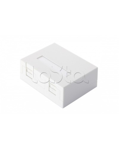 Настенная коробка 2-портовая со шторками, белый Eurolan (12B-04-02WT-2) в Белгороде Розетки компьютерные и телефонные Pintop.ru