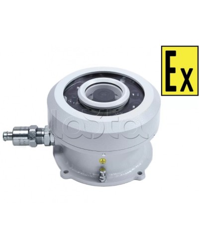 Видеокамера взрывозащищенная Компания СМД Орион МК ВК FishEye-А в Белгороде Взрывозащищенные камеры Pintop.ru