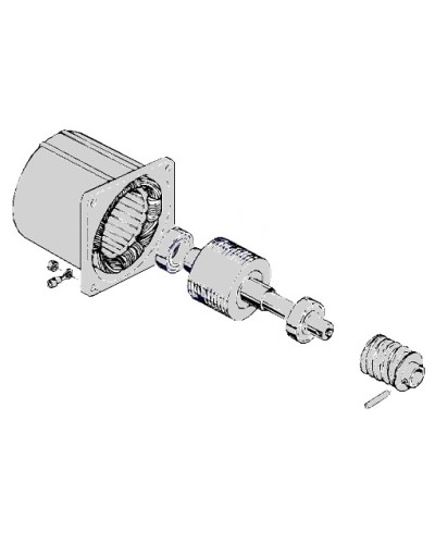 Электродвигатель С-100 Came 119RIC052 в Белгороде Запчасти для шлагбаумов и автоматики Pintop.ru